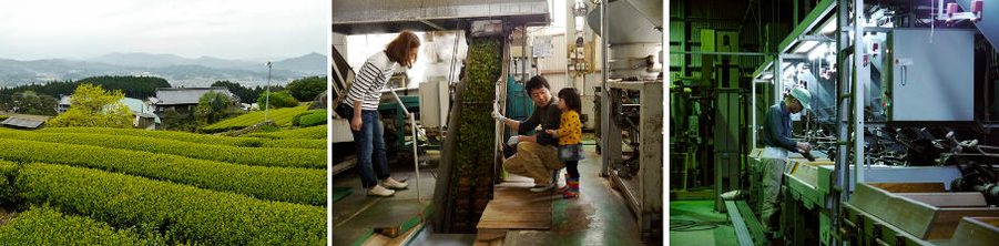 the vert japonais bio petit producteur